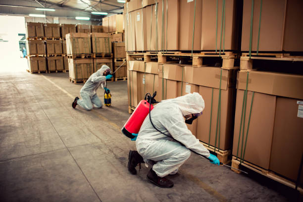 Flea Control Services in Level Plains, AL