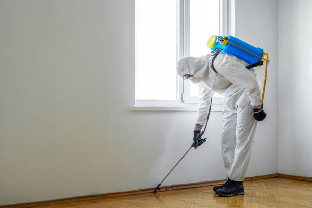 Best Emergency Pest Control  in Level Plains, AL