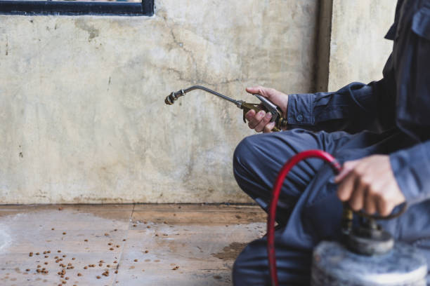 Professional Pest Control in Level Plains, AL
