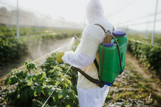 Best Rat Extermination Near Me  in Level Plains, AL